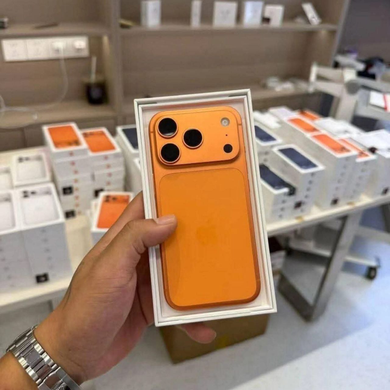 photo_1_2026-04-02_04-55-37