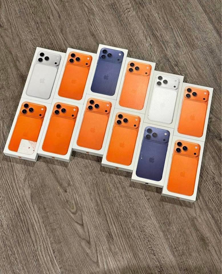 photo_2_2026-04-02_04-55-37