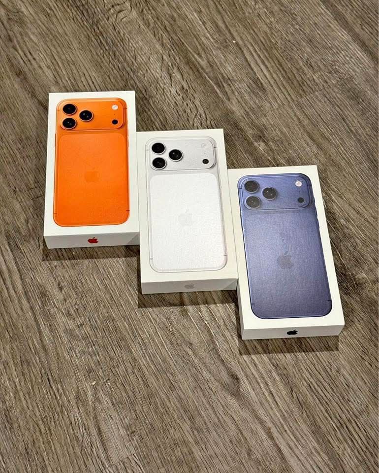 photo_4_2026-04-02_04-55-37