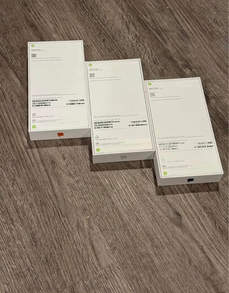 photo_5_2026-04-02_04-55-37