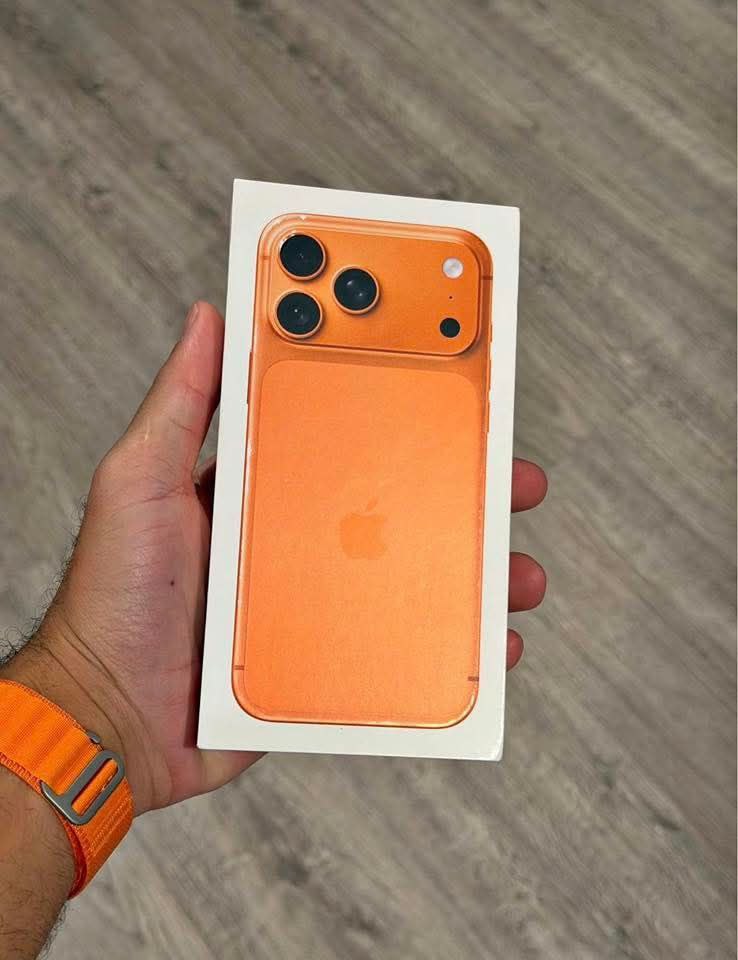 photo_6_2026-04-02_04-55-37