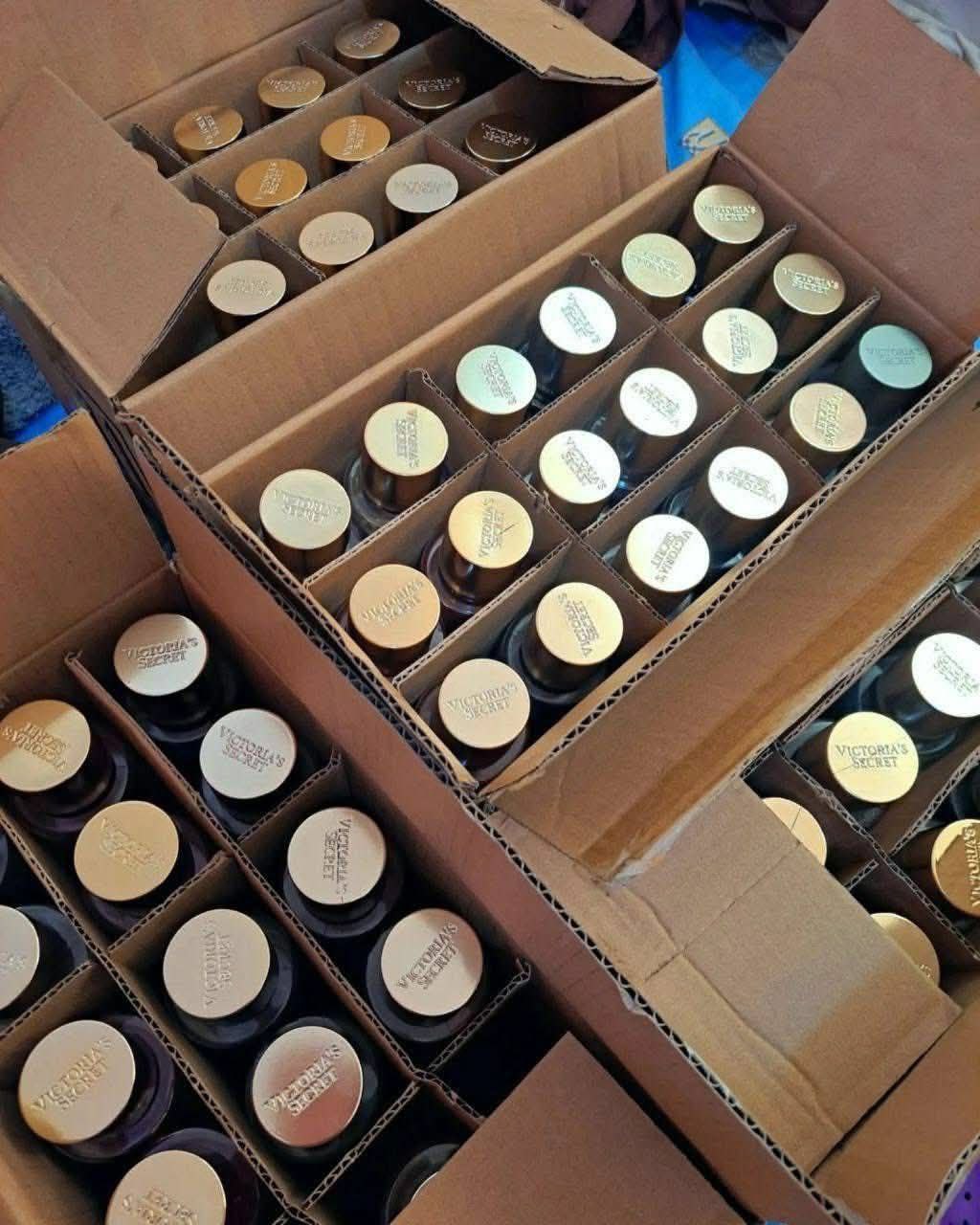 photo_9_2026-04-02_05-35-44